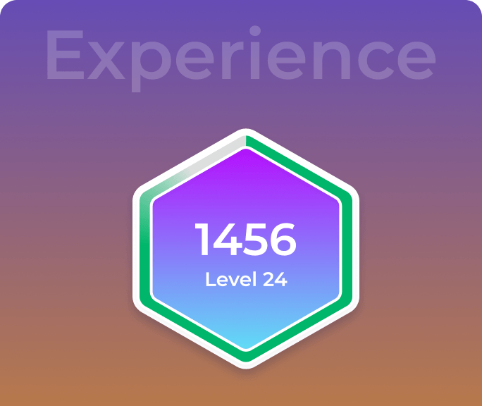 Player XP System